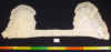 30.JPG (2176087 byte)